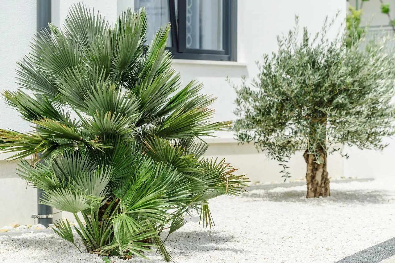 Apartments Villa Dalmatia Trogir