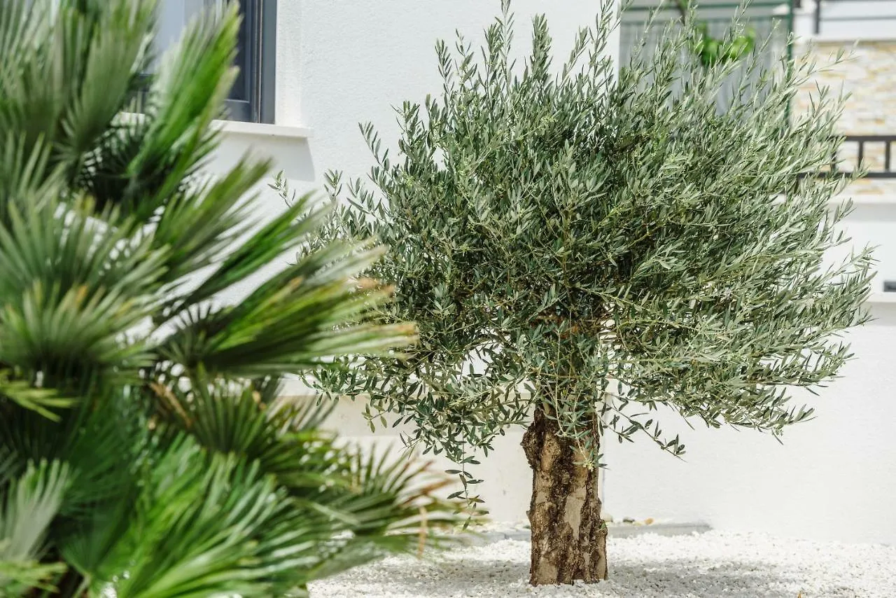 Apartments Villa Dalmatia Trogir Hırvatistan