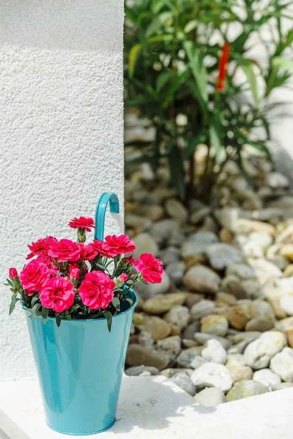 Apartments Villa Dalmatia Trogir Hırvatistan